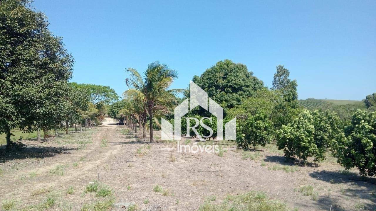 Fazenda à venda com 3 quartos, 1000000M2 - Foto 22