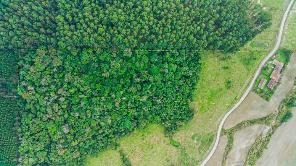 Fazenda à venda, 23900m² - Foto 7