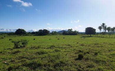 Fazenda à venda com 2 quartos, 96000m² - Foto 2