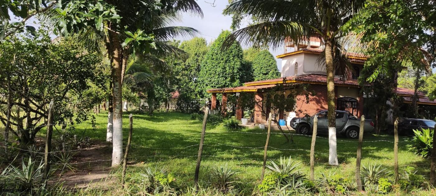 Fazenda à venda com 3 quartos, 35m² - Foto 31