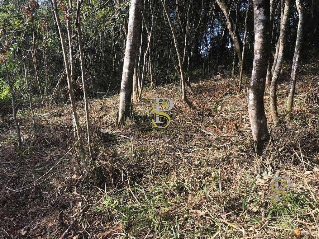 Loteamento e Condomínio à venda, 1500M2 - Foto 9