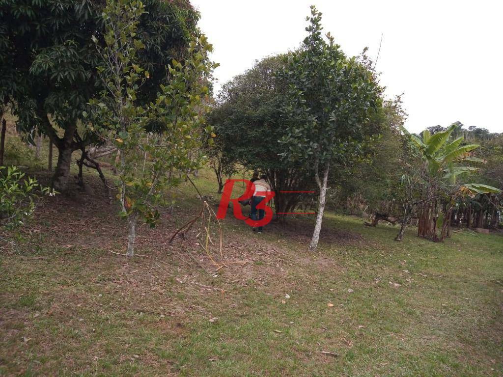 Sítio, 5 quartos, 7 hectares - Foto 35