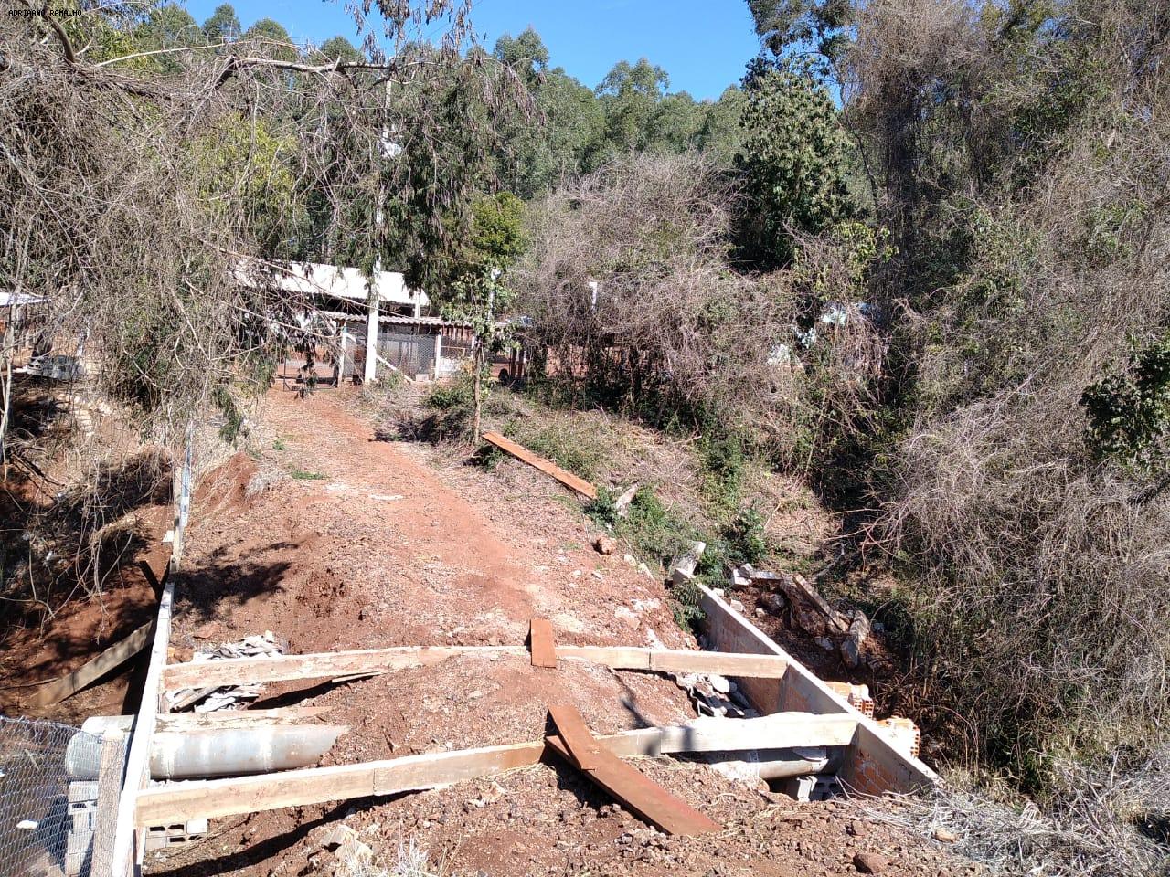 Fazenda para alugar com 3 quartos, 20000m² - Foto 19