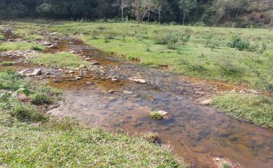 Fazenda à venda com 3 quartos, 290000m² - Foto 9