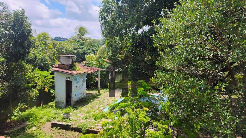Casa à venda com 2 quartos, 990M2 - Foto 20