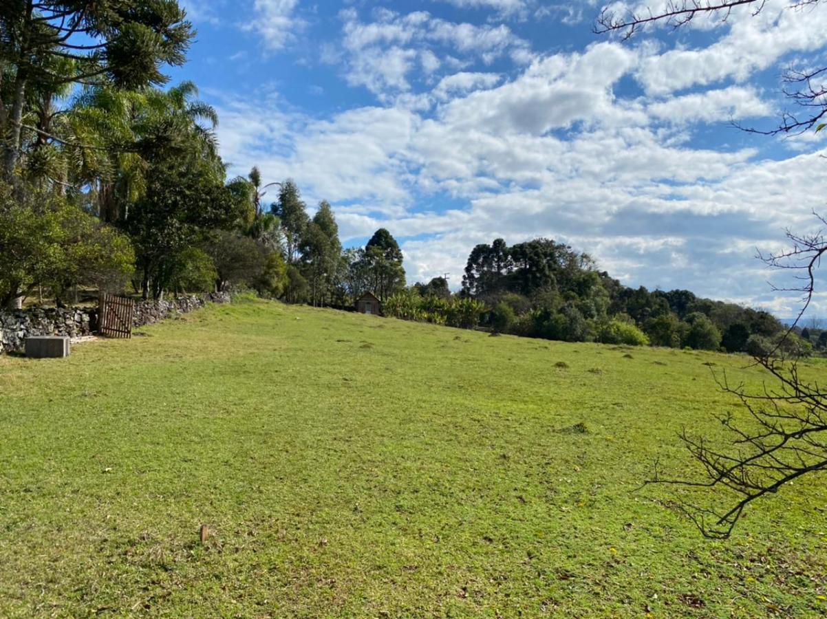 Fazenda à venda com 2 quartos, 3m² - Foto 22