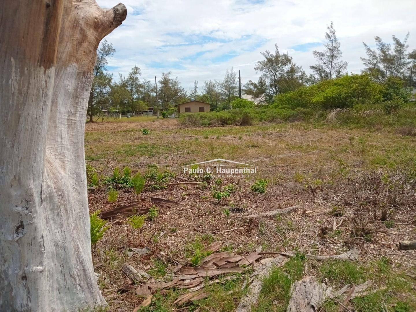 Terreno à venda, 300M2 - Foto 3