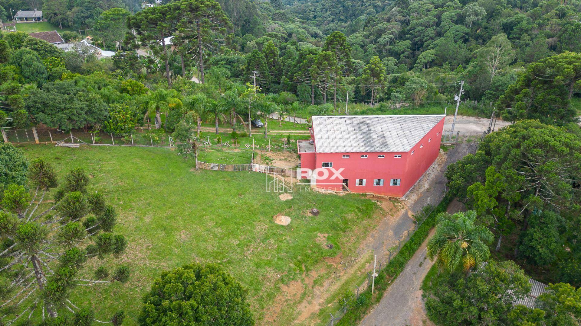 Chácara à venda com 10 quartos, 34360M2 - Foto 42