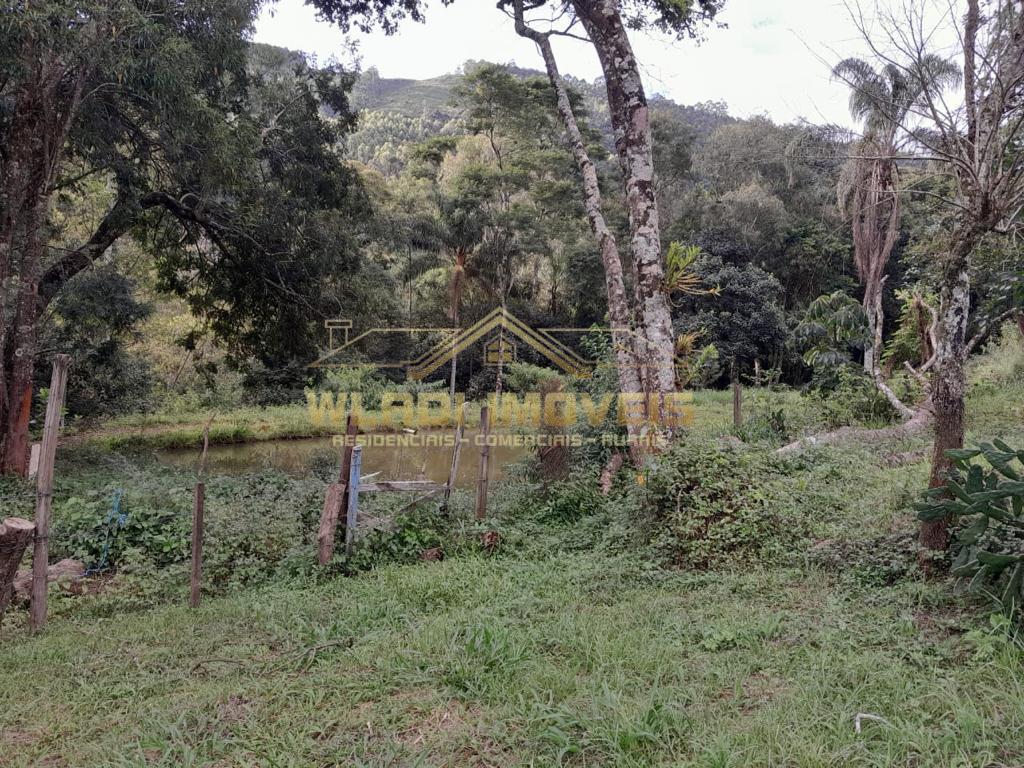 Fazenda à venda com 3 quartos, 34000m² - Foto 23