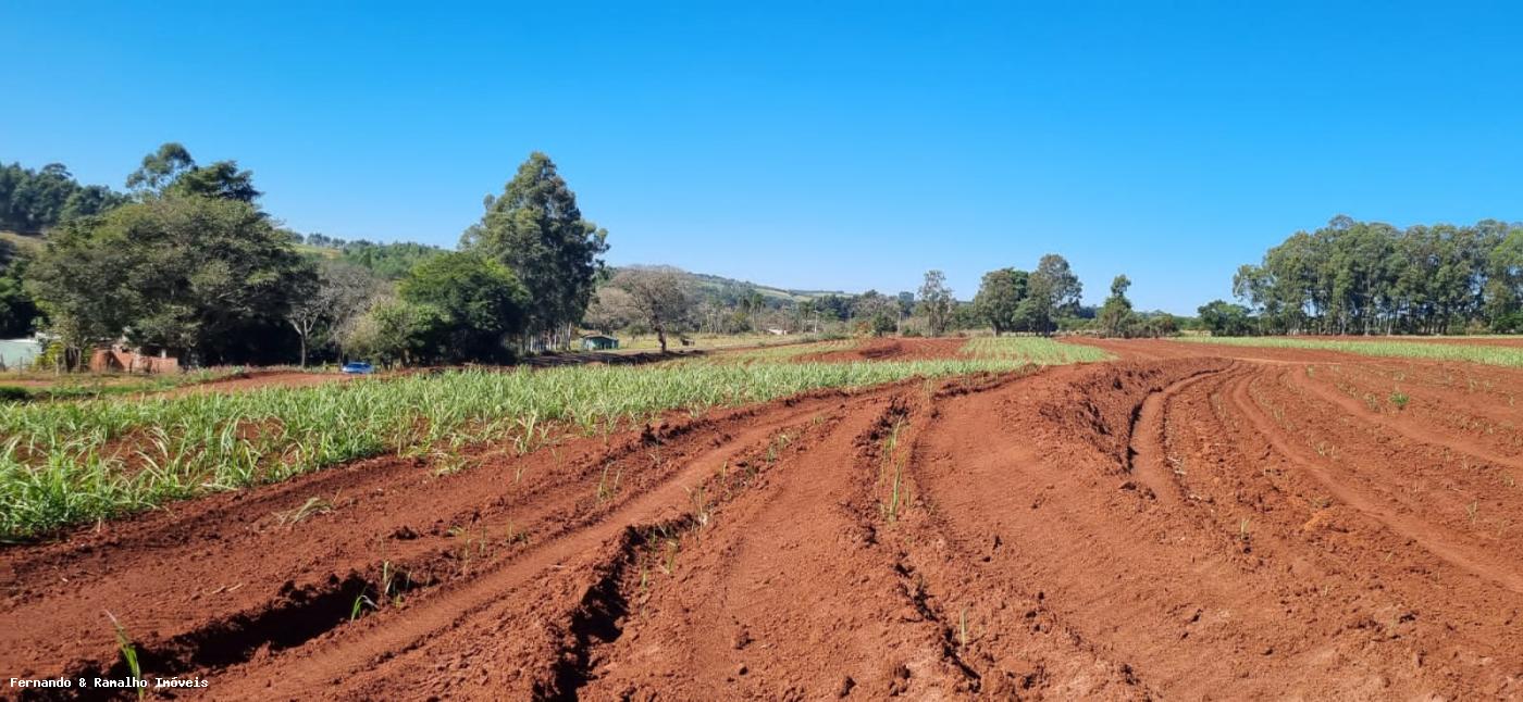 Fazenda à venda, 10m² - Foto 4