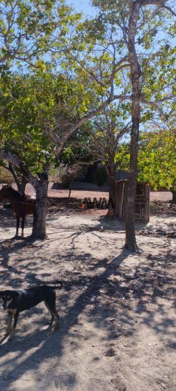 Fazenda à venda, 11567600M2 - Foto 6