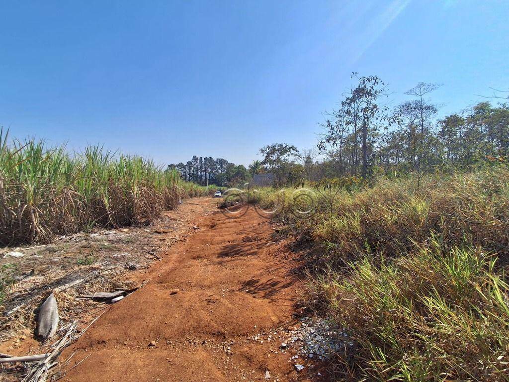 Terreno à venda, 3450M2 - Foto 9