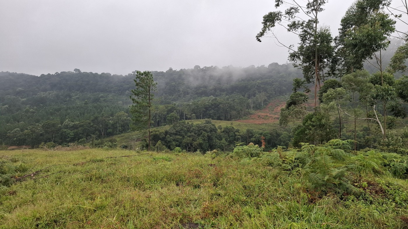 Sítio à venda, 248000m² - Foto 37