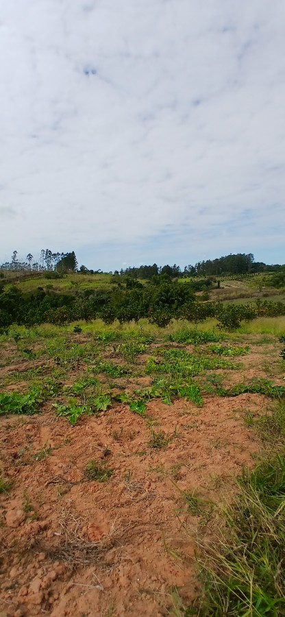 Sítio à venda com 3 quartos, 67000m² - Foto 11