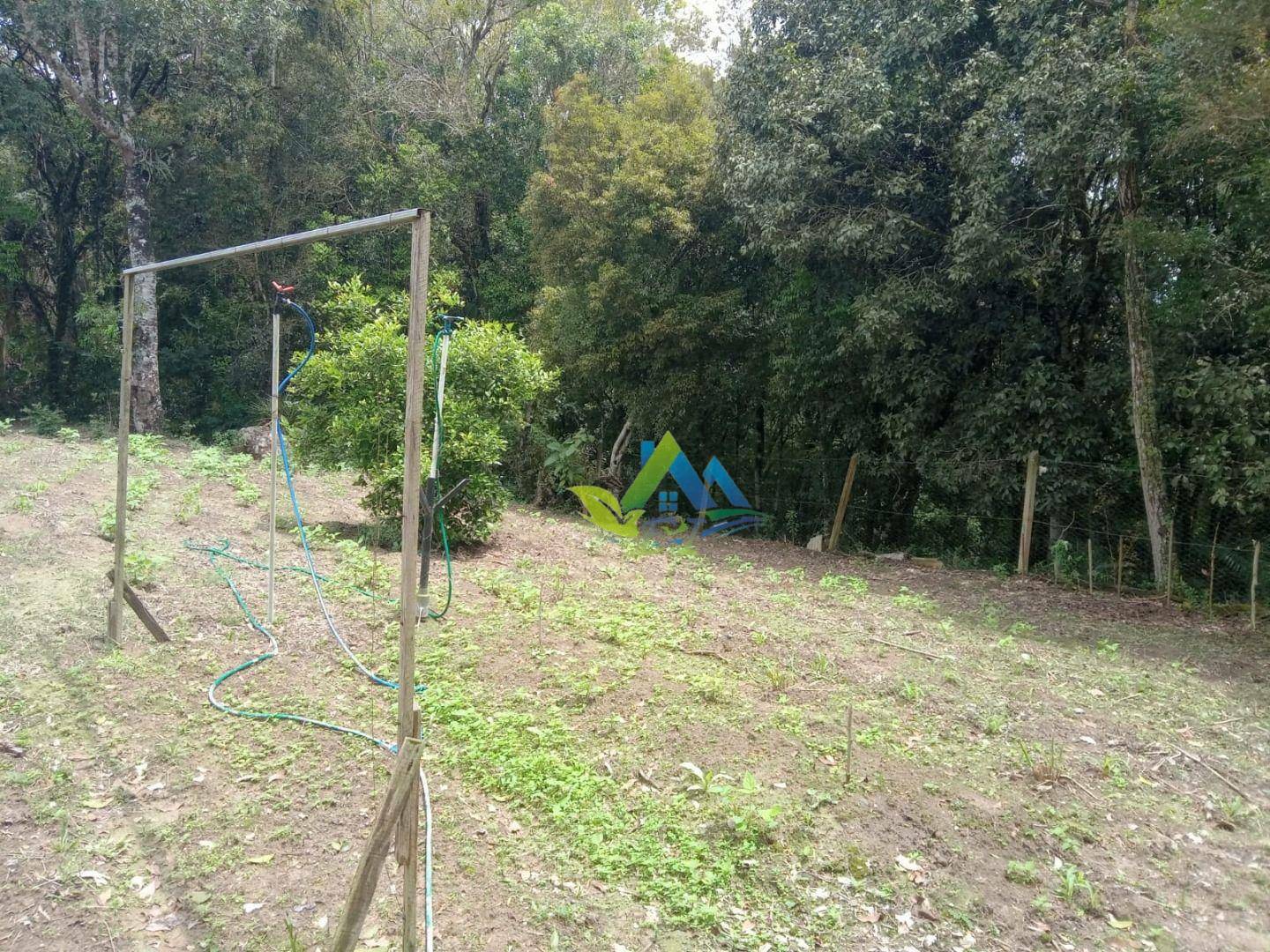 Sítio à venda com 2 quartos, 8697M2 - Foto 32
