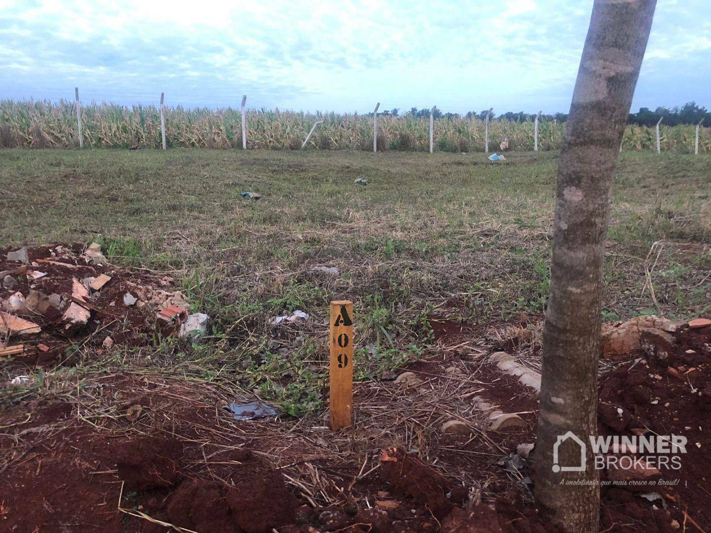 Loteamento e Condomínio à venda, 301M2 - Foto 2