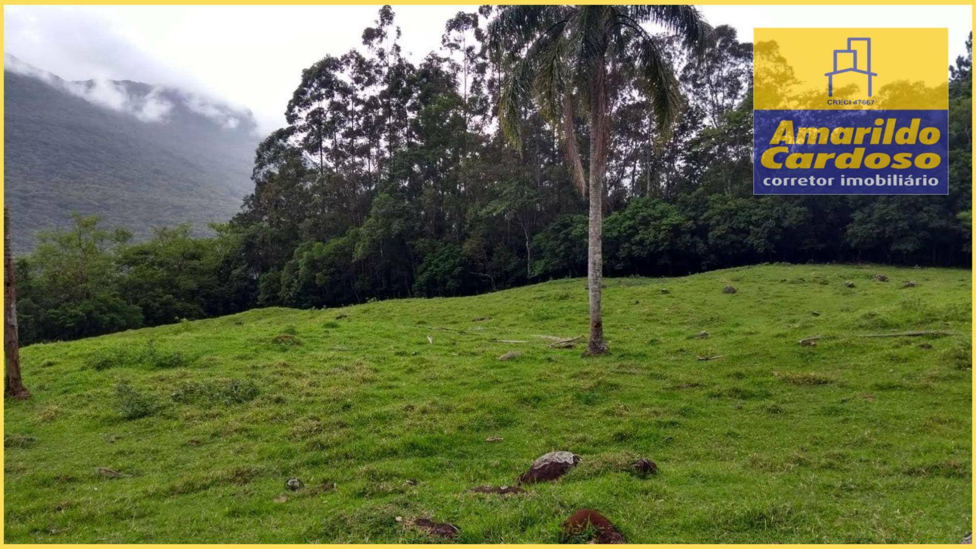 Terreno à venda, 70000M2 - Foto 2