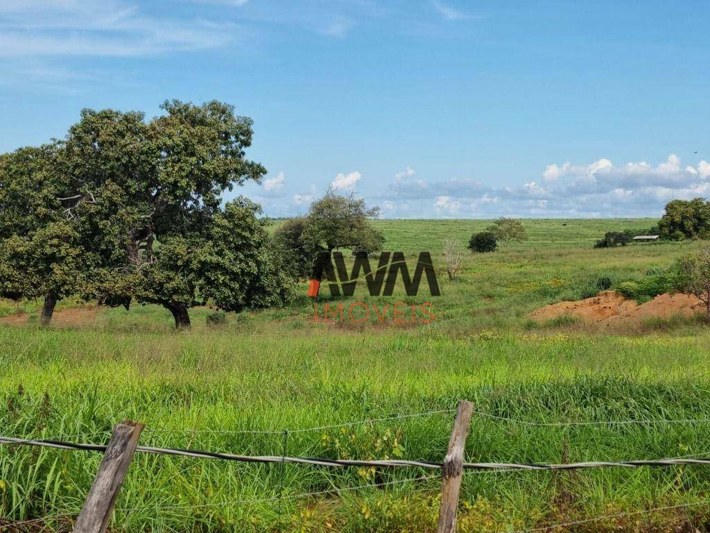 Fazenda à venda, 70000000M2 - Foto 21