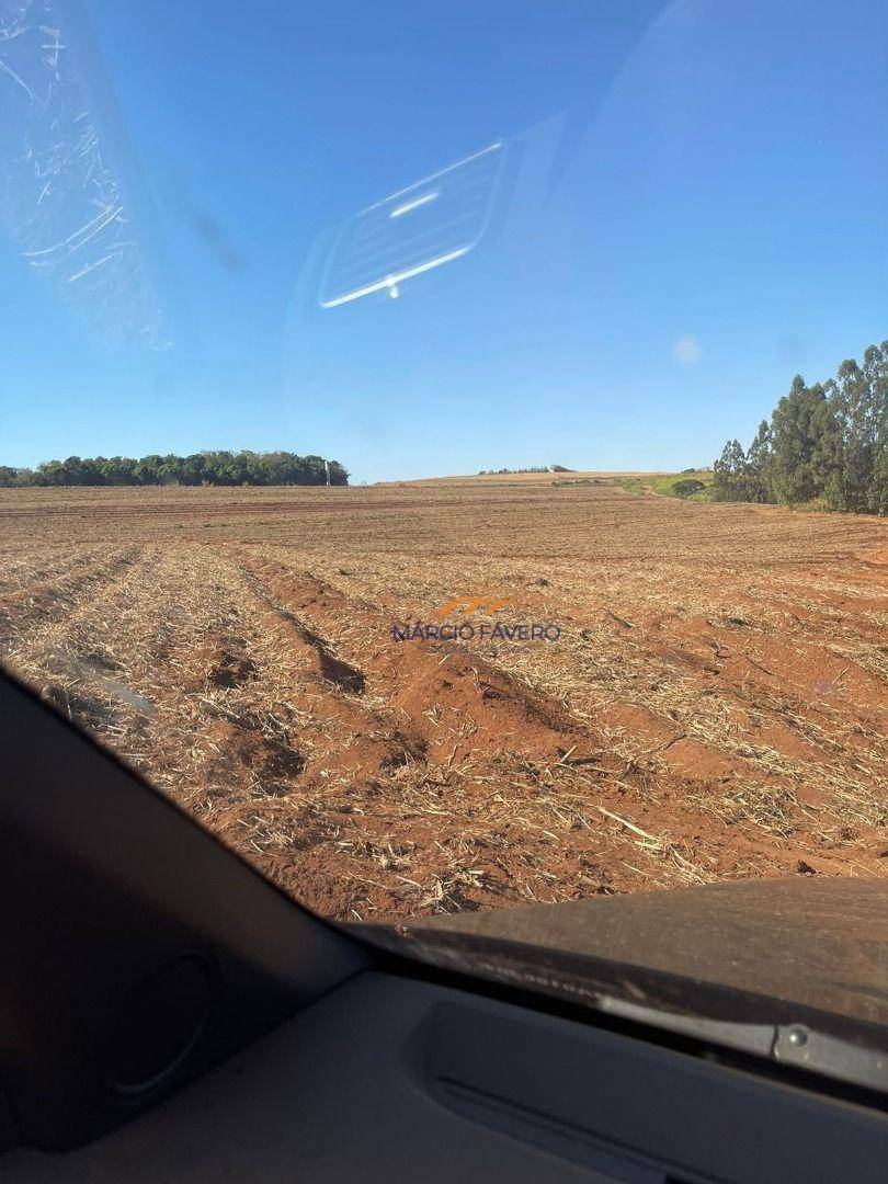 Fazenda à venda, 2299000M2 - Foto 15