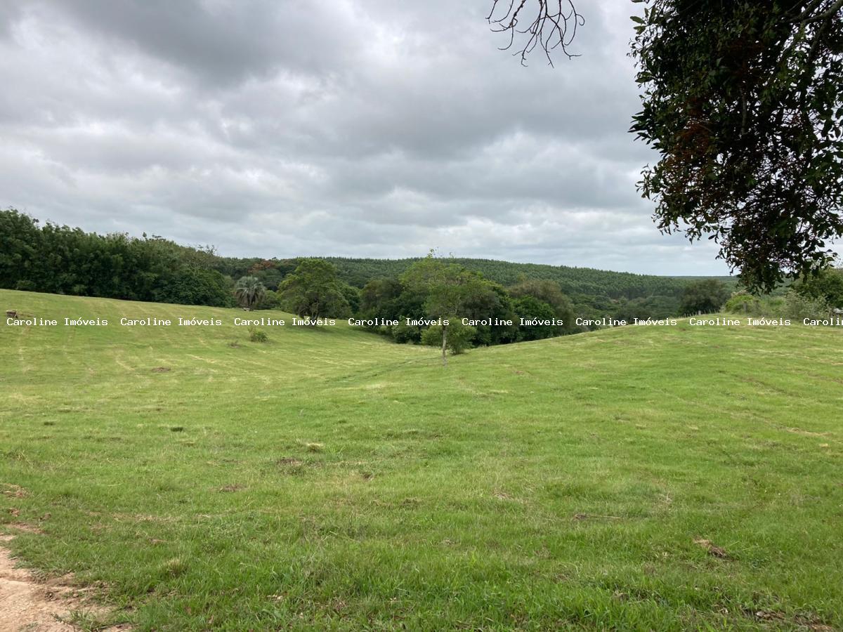 Fazenda à venda com 2 quartos, 220000m² - Foto 7