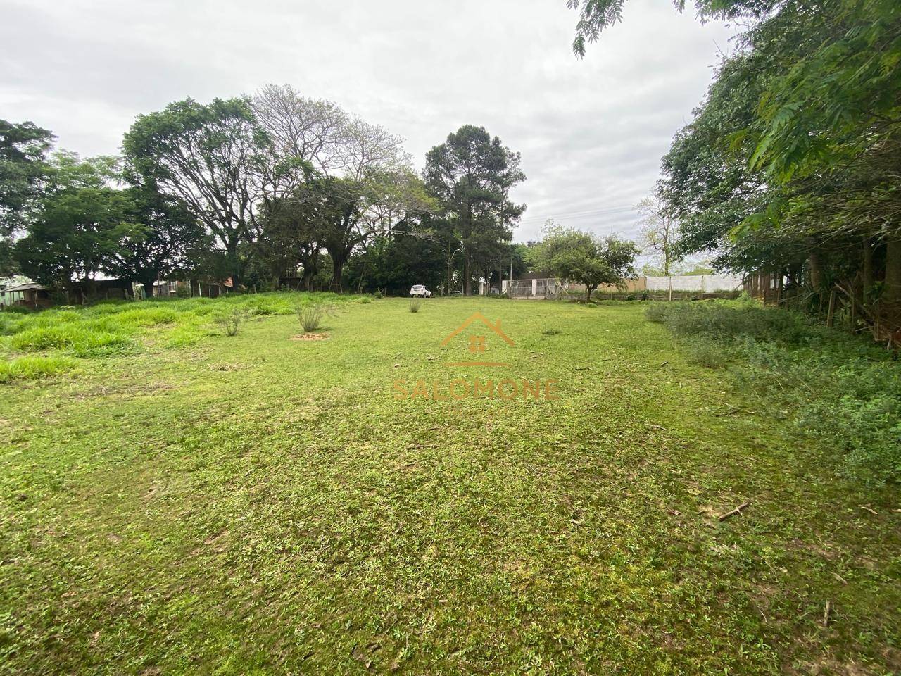 Terreno, 10000 m² - Foto 1