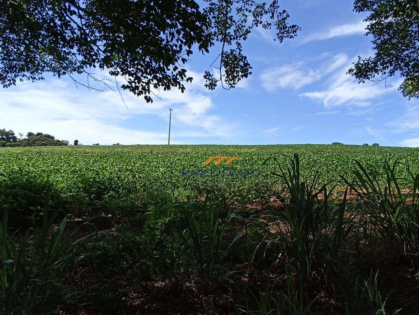 Fazenda à venda, 2904000M2 - Foto 12