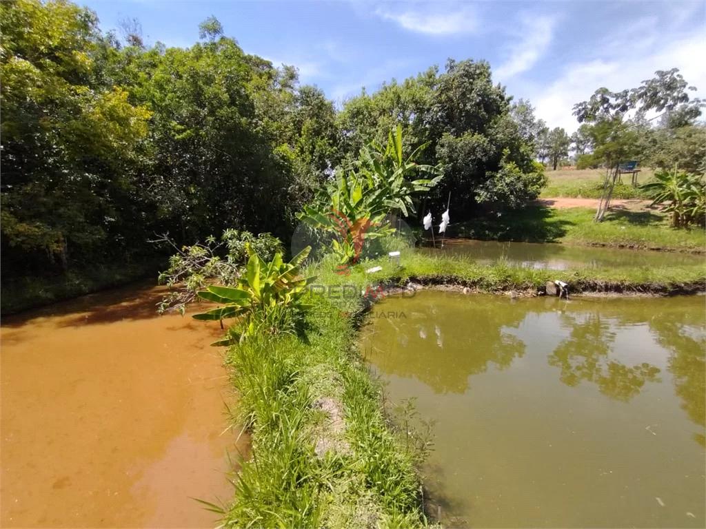 Fazenda à venda com 2 quartos, 36300m² - Foto 9