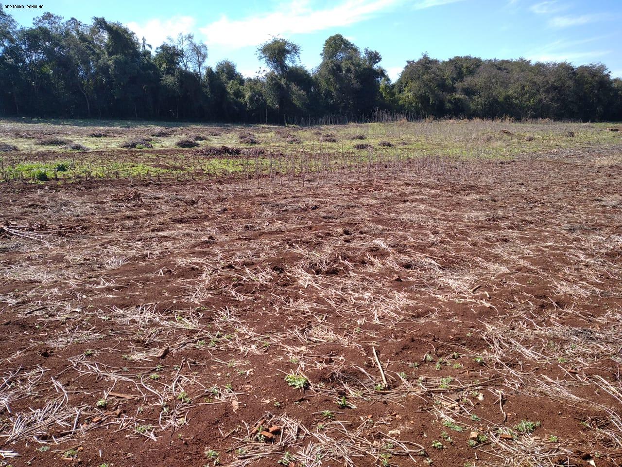 Fazenda para alugar com 3 quartos, 20000m² - Foto 15