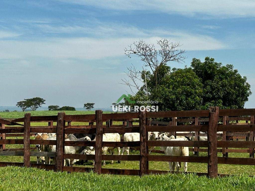 Fazenda à venda com 4 quartos, 7018000M2 - Foto 18