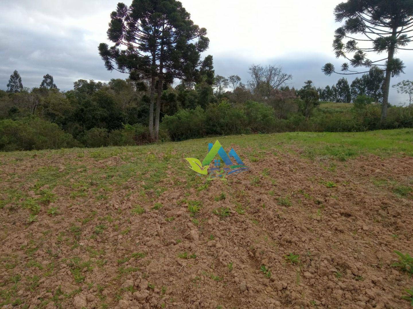 Terreno à venda, 7200M2 - Foto 4