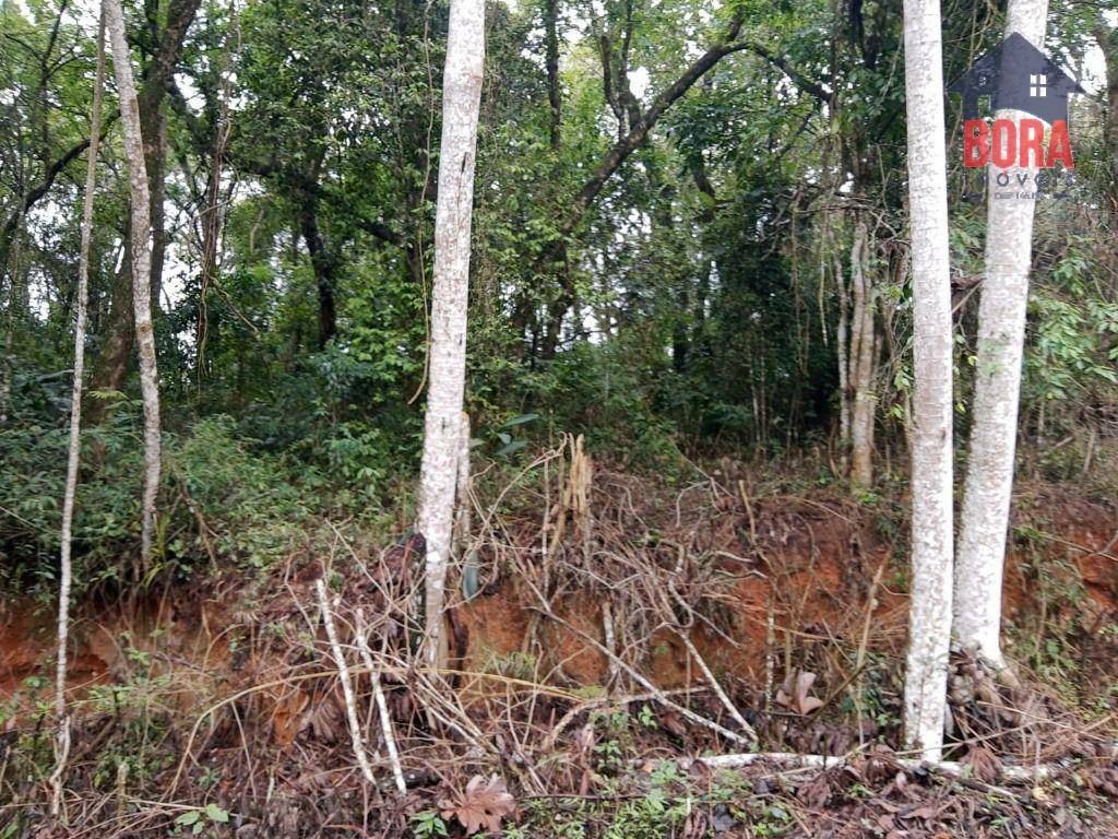 Loteamento e Condomínio à venda, 1250M2 - Foto 4