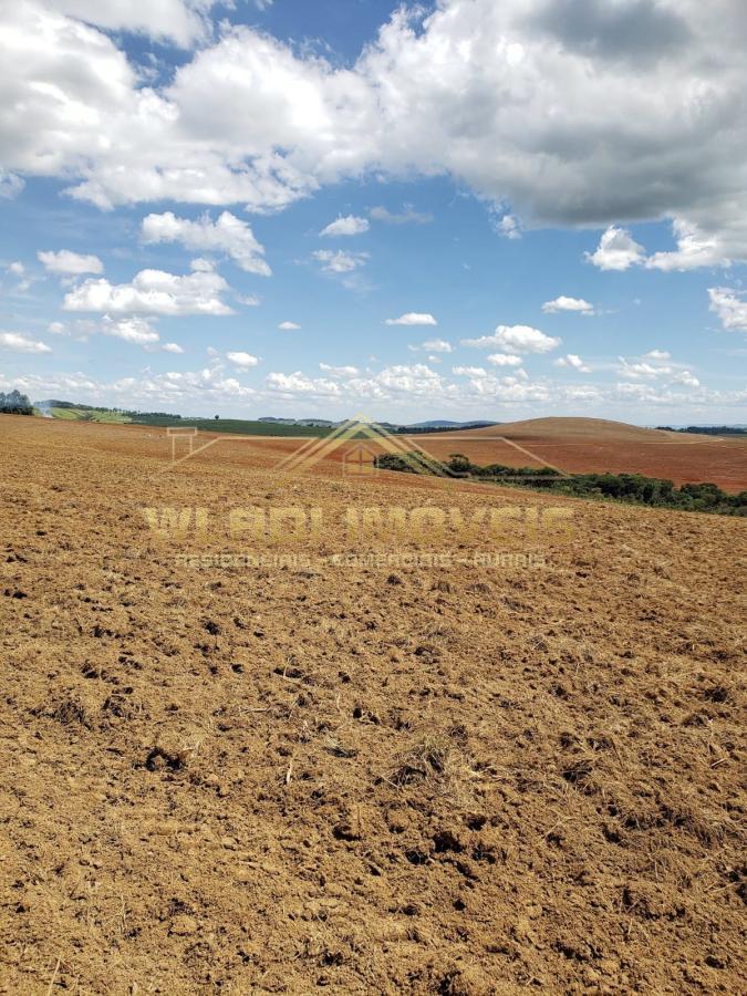 Fazenda à venda, 330m² - Foto 7