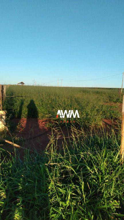 Fazenda, 454 hectares - Foto 5