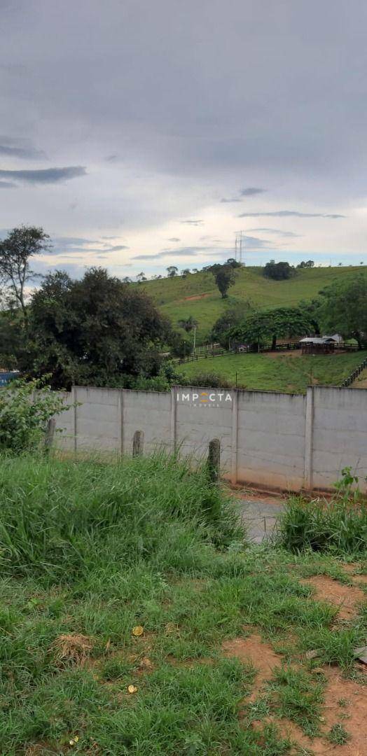 Chácara à venda com 2 quartos, 4000M2 - Foto 7