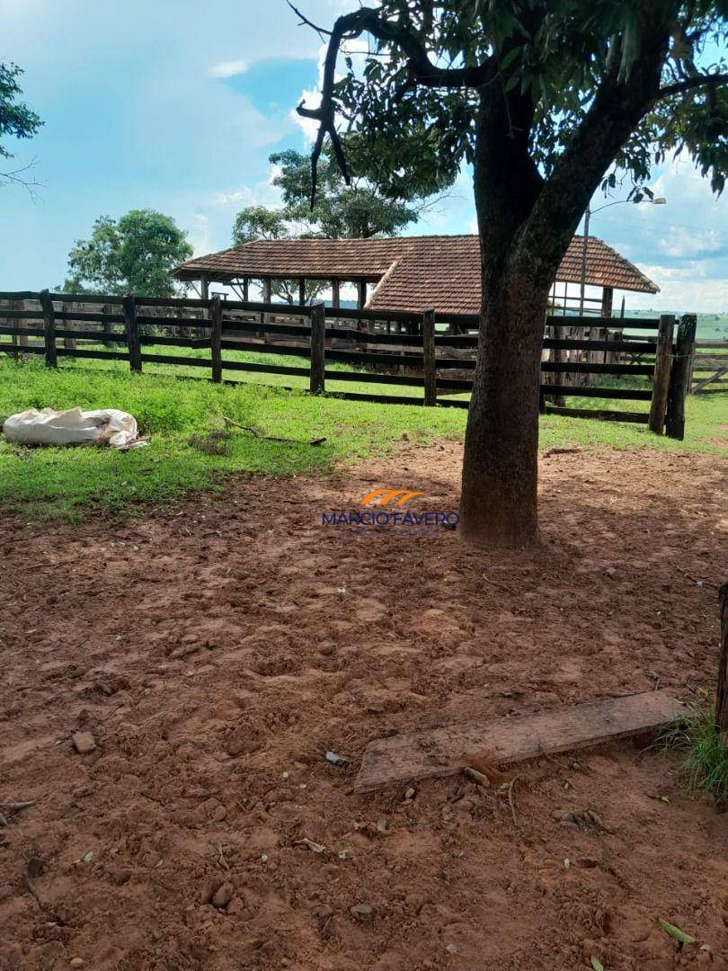 Fazenda, 339 hectares - Foto 4