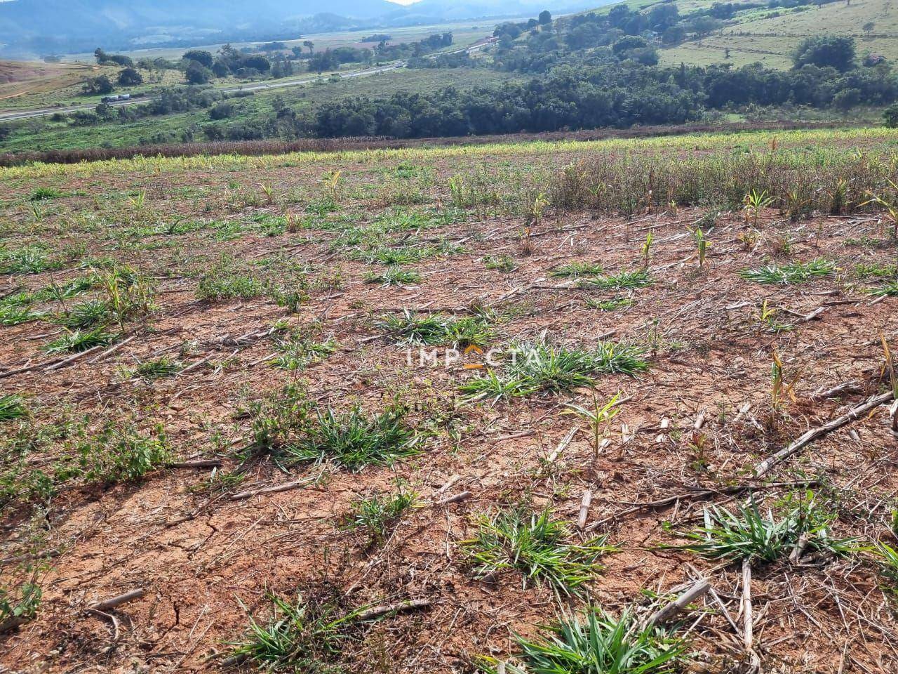 Terreno à venda, 1597200M2 - Foto 2