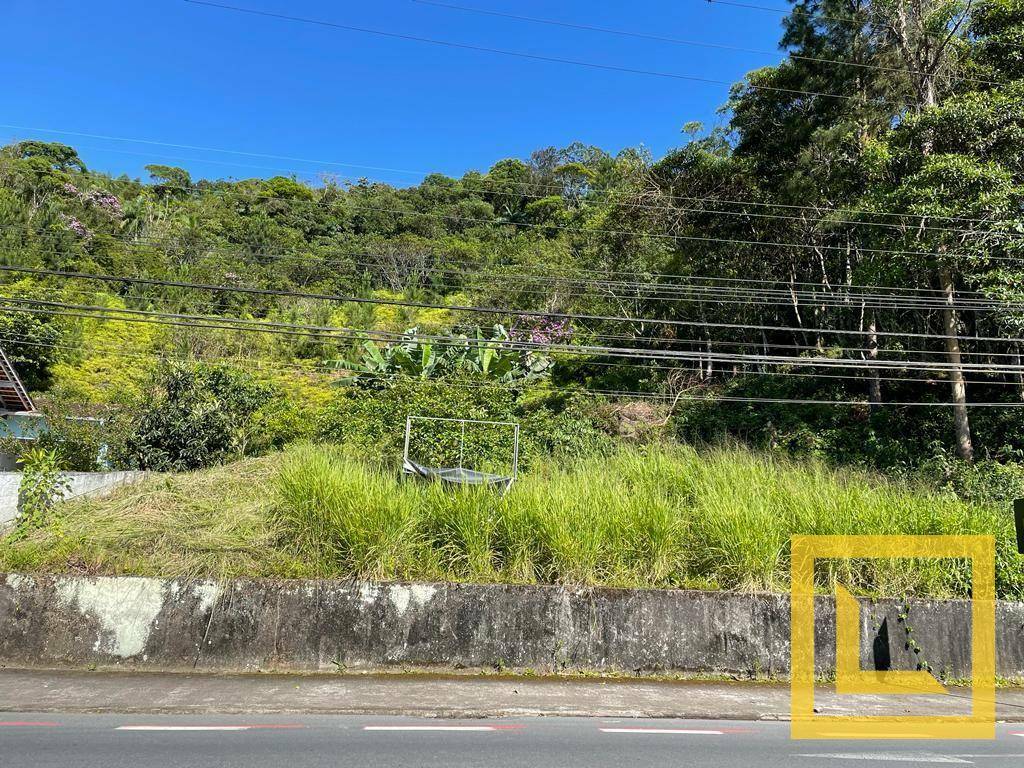 Terreno à venda, 2500M2 - Foto 2