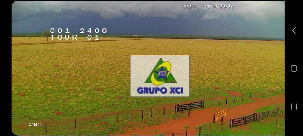Fazenda, 1239 hectares - Foto 2