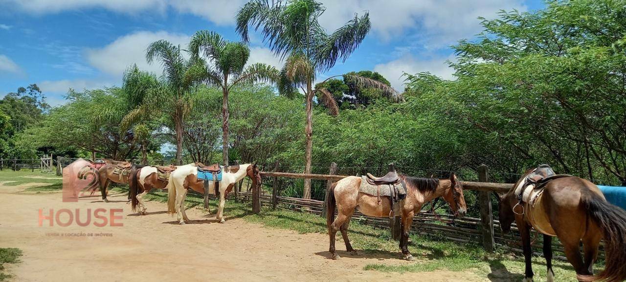 Fazenda à venda, 410000M2 - Foto 9