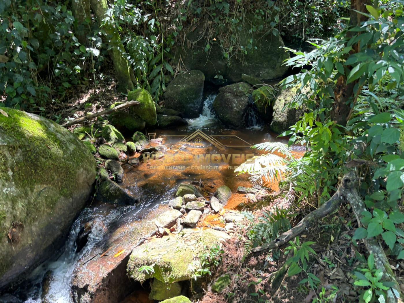 Terreno à venda - Foto 8