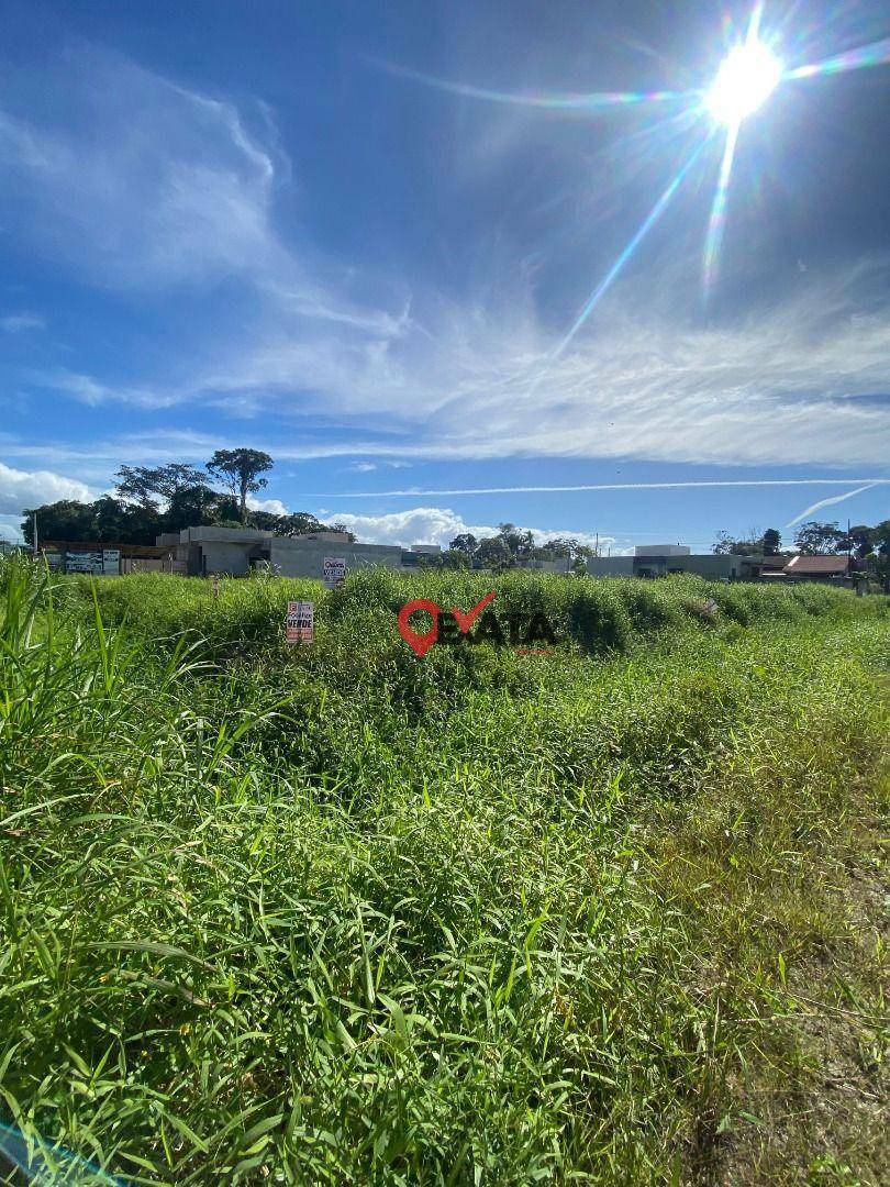 Terreno à venda, 300M2 - Foto 2