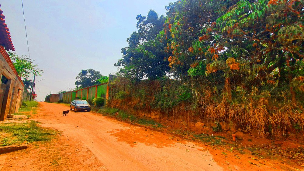 Terreno à venda, 1000m² - Foto 4