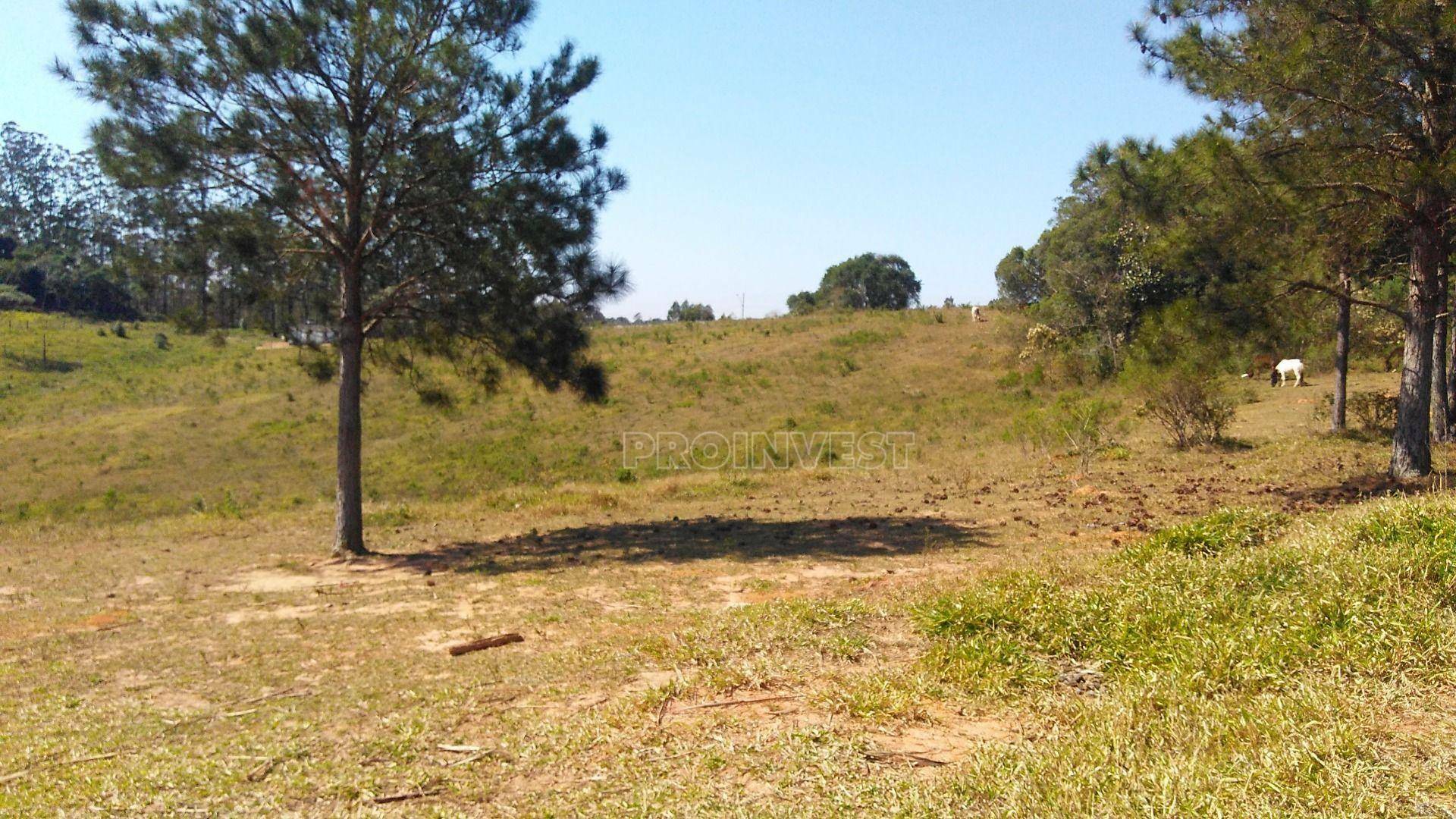 Terreno à venda, 166555M2 - Foto 5