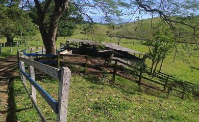 Fazenda à venda com 3 quartos, 40000m² - Foto 19