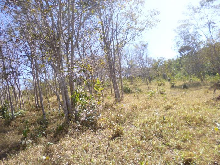 Fazenda à venda - Foto 17