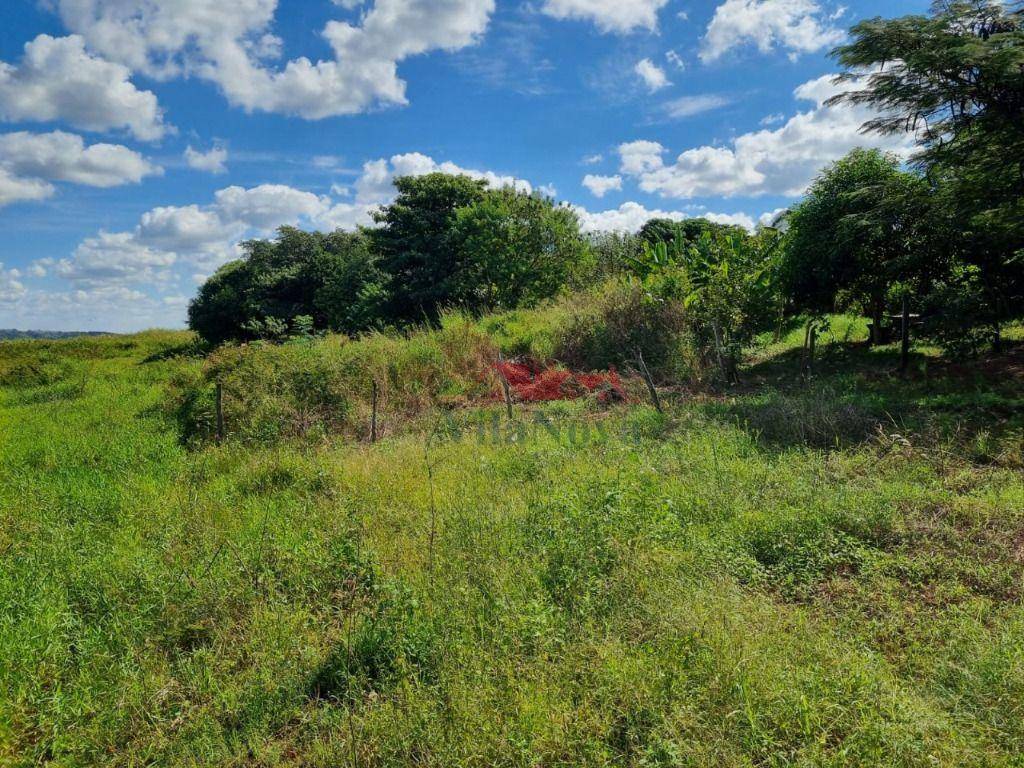Chácara à venda com 2 quartos, 1000M2 - Foto 16