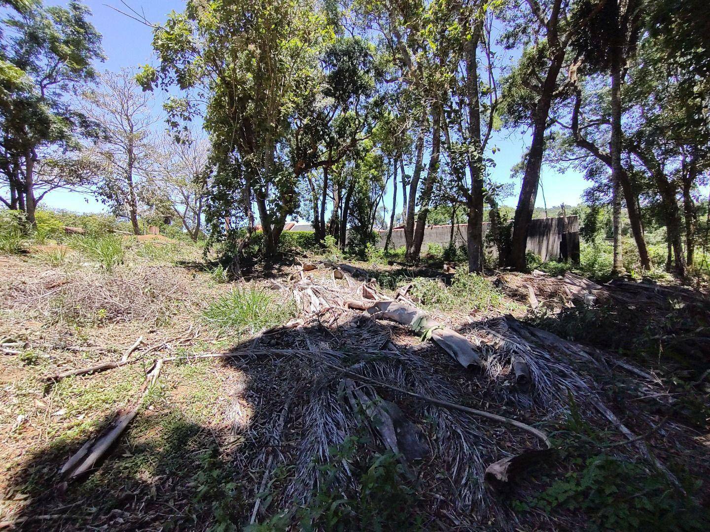 Loteamento e Condomínio à venda, 1178M2 - Foto 11