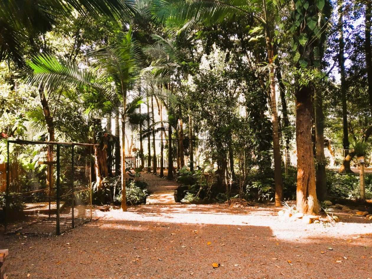 Sítio à venda, 600m² - Foto 2