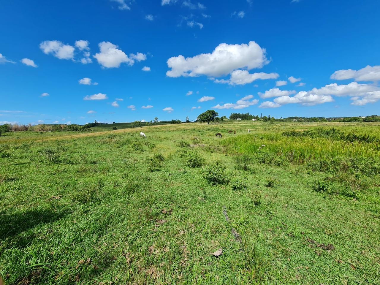 Fazenda à venda, 48400m² - Foto 54
