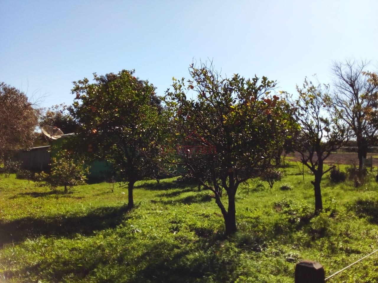 Chácara, 2 quartos - Foto 1